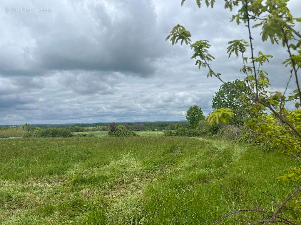 Terrain à THIVIERS