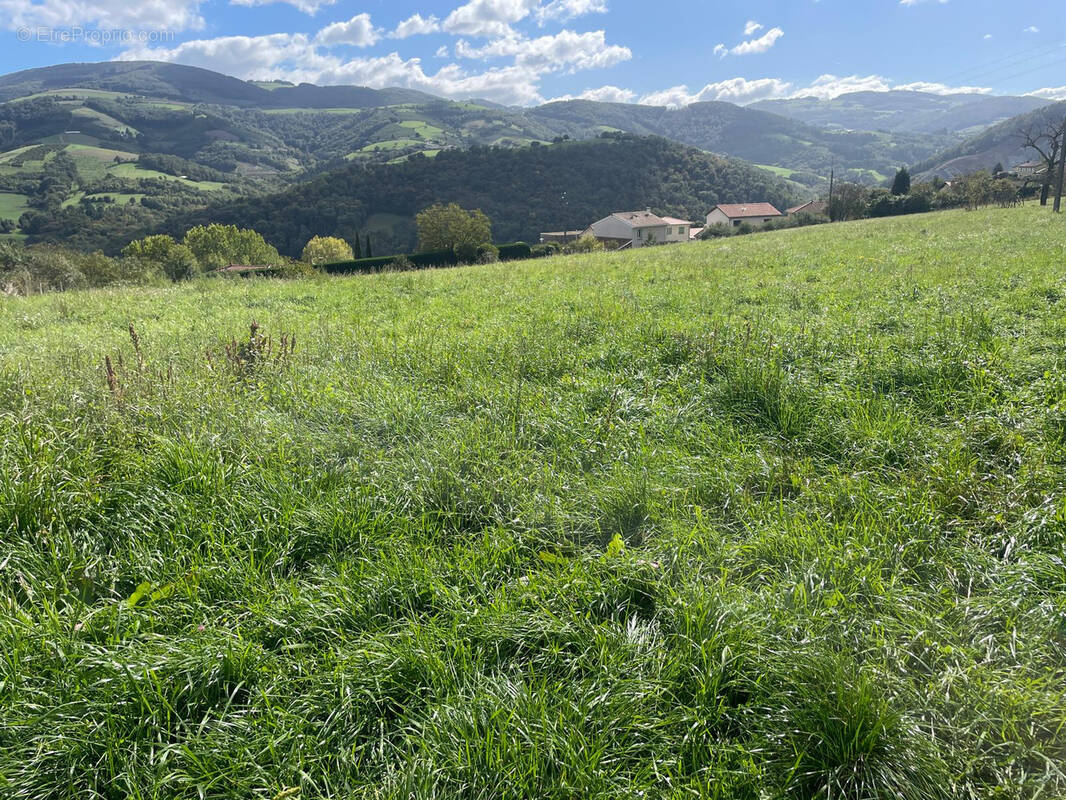 Terrain à BRUSSIEU
