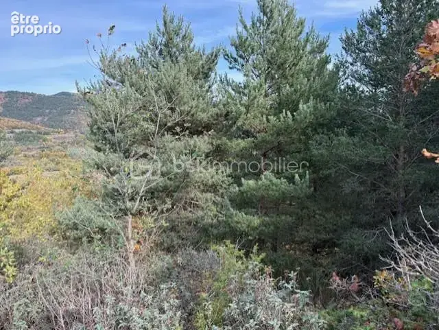 Terrain 10850 m2 Rabouillet - photo 2