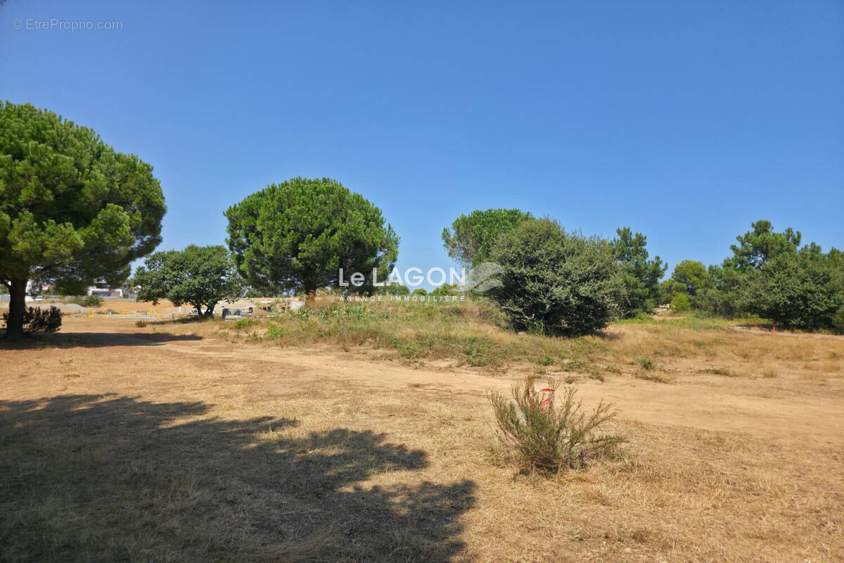 Terrain à LATOUR-BAS-ELNE