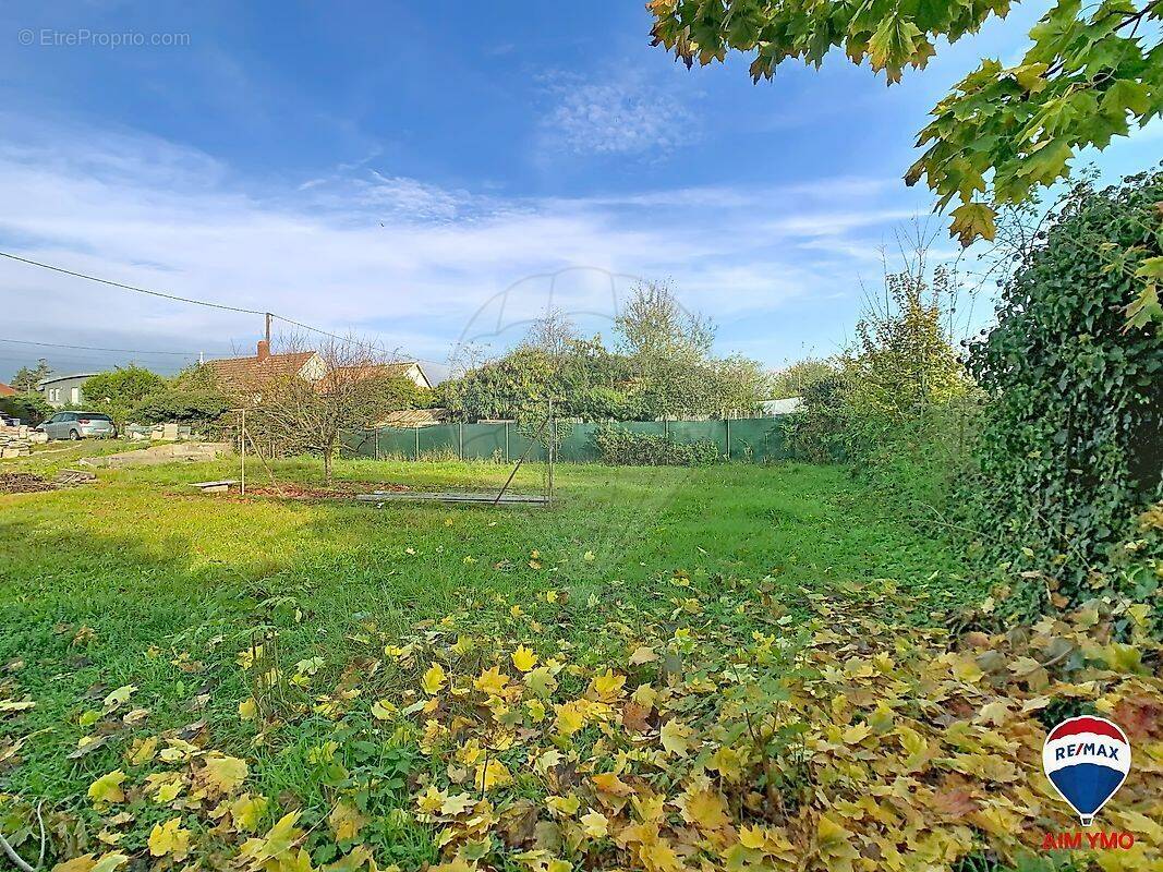 Terrain à RICHWILLER