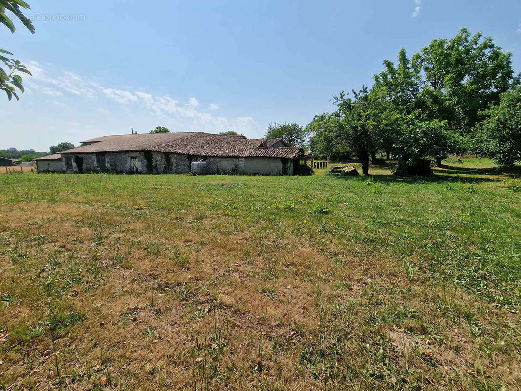 Ancienne ferme avec dépendances sur terrain de 1.2 hectare - photo 3