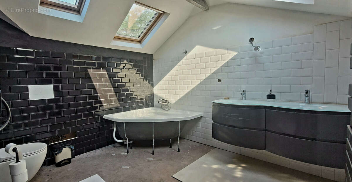 Maison 317m² à la bâtie-montgascon - photo 17