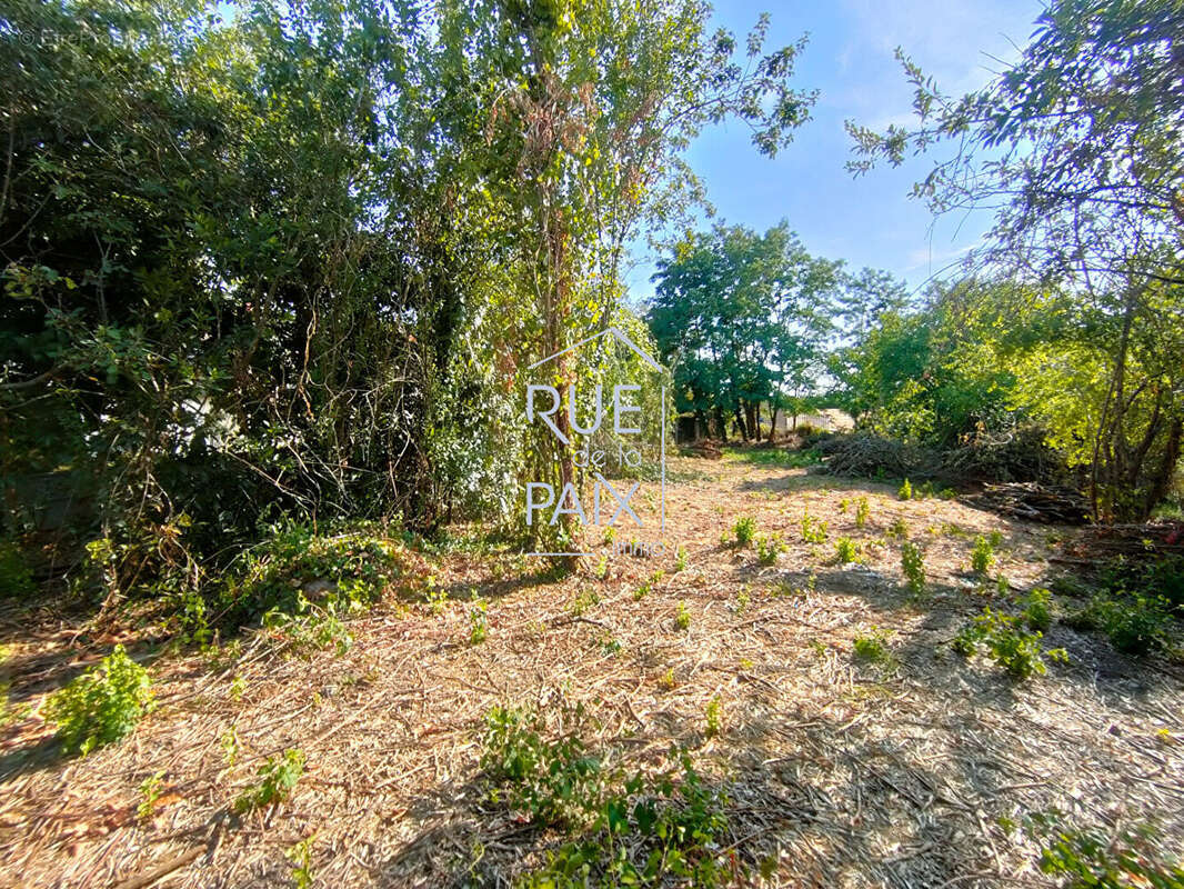 Maison Thure 3 pièce(s) 81.80m2 - photo 17