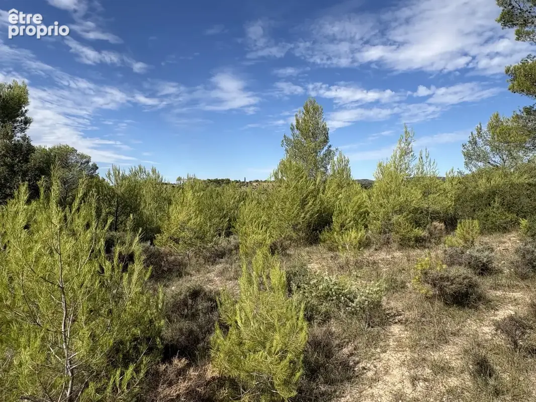 Terrain 3 660 m² à vendre à Saint-Mamert-Du-Gard (30730) - photo 2