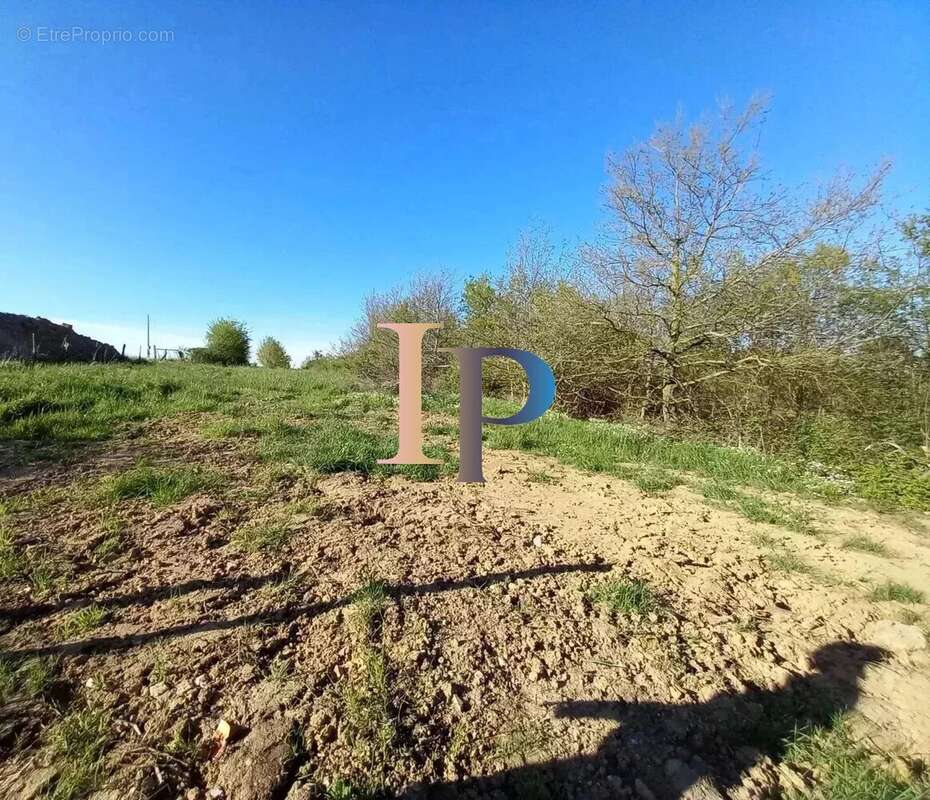 Terrain constructible - photo 6