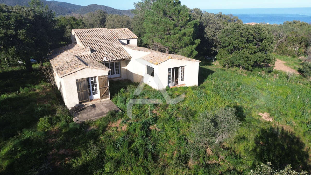 Maison à ZONZA