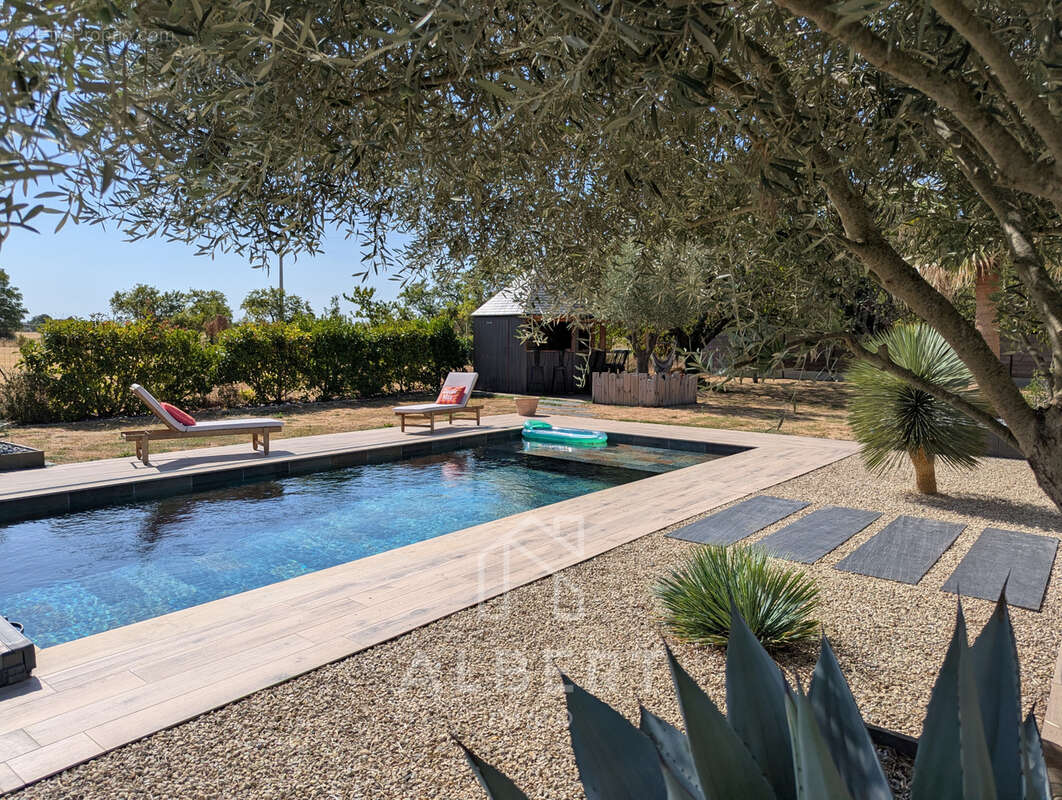 Propriété rare entre Angers et Saumur - photo 2