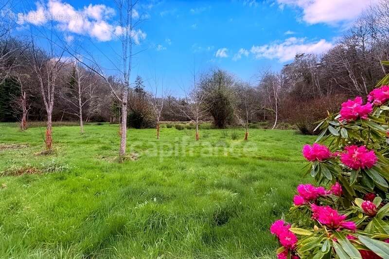 Terrain de loisirs non constructible - 7138m² de nature - Prairie, ruisseau et tranquillité absolue Quimper (29) - photo 4