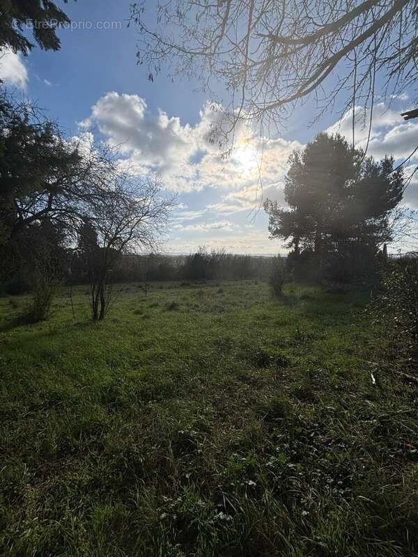 Terrain à VILLEPINTE