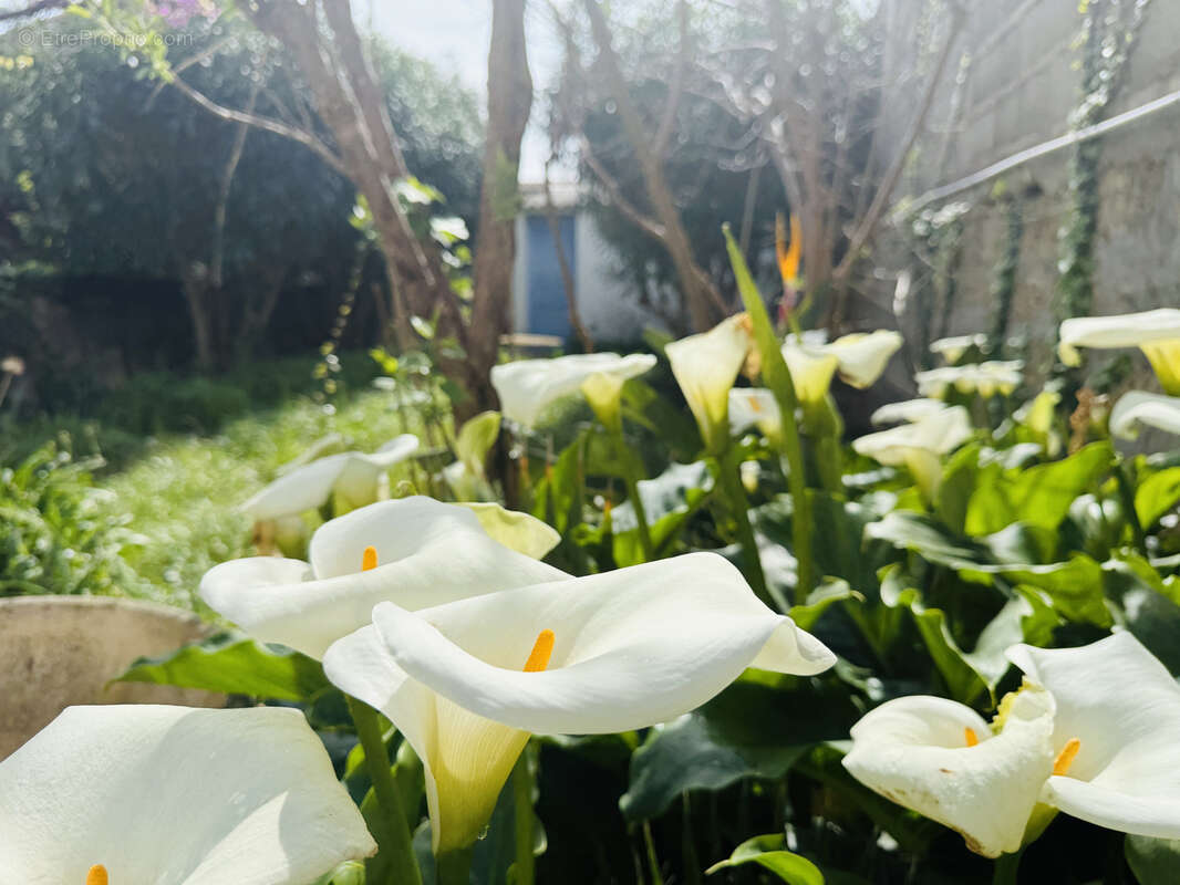 Maison à PALAVAS-LES-FLOTS