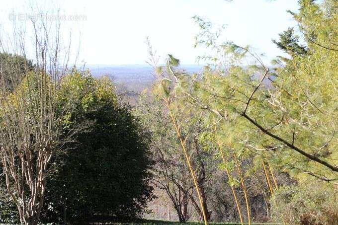 Terrain à FLEURANCE