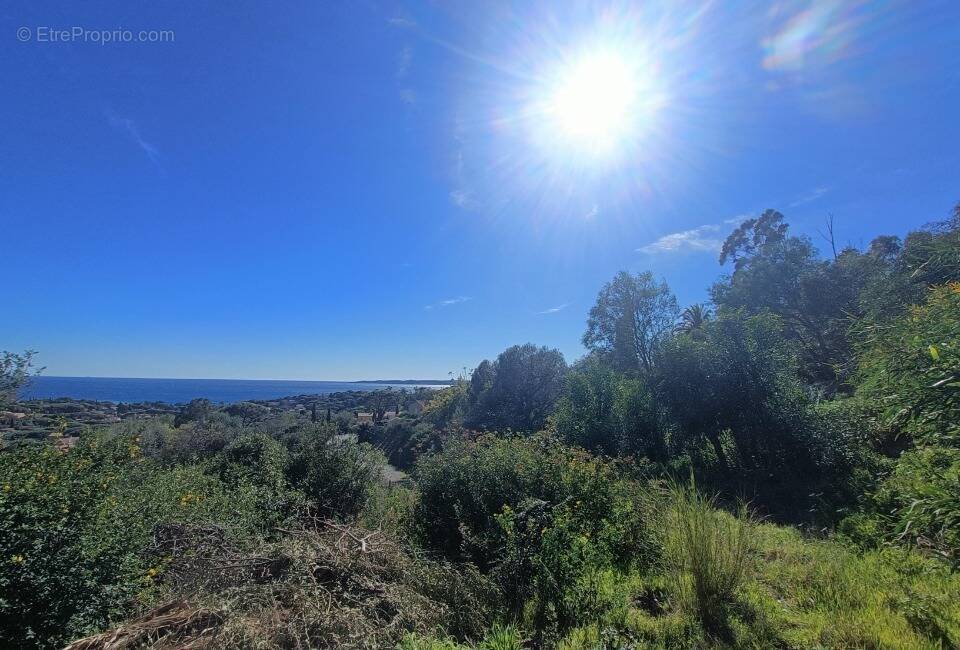 Terrain à LES ISSAMBRES