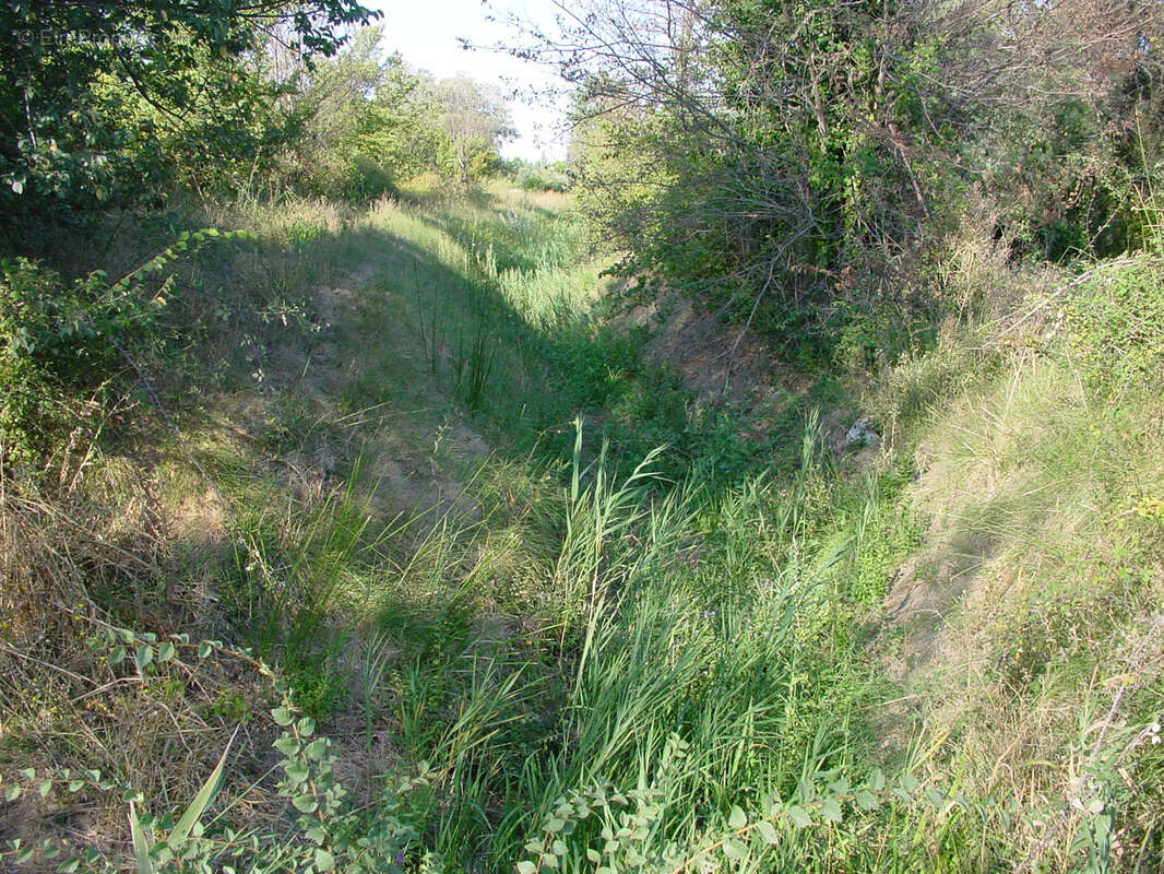 Terrain à MARGUERITTES