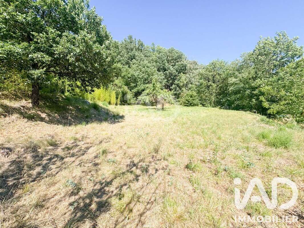 Terrain 12143 m² à Saint-Affrique  - photo 2