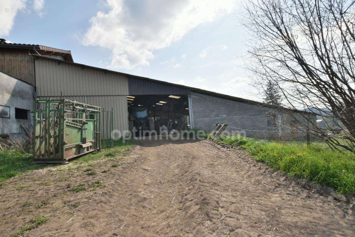 Maison à vendre 5 pièces DOMAIZE (63) - photo 5
