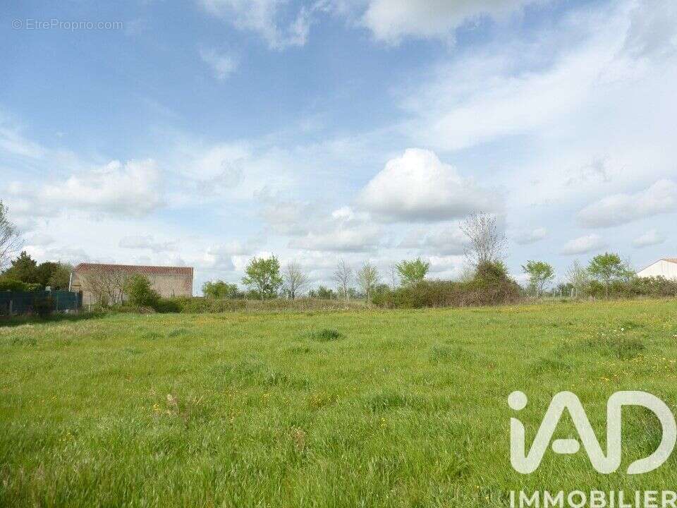 Photo 2 - Terrain à ASNIERES-LA-GIRAUD