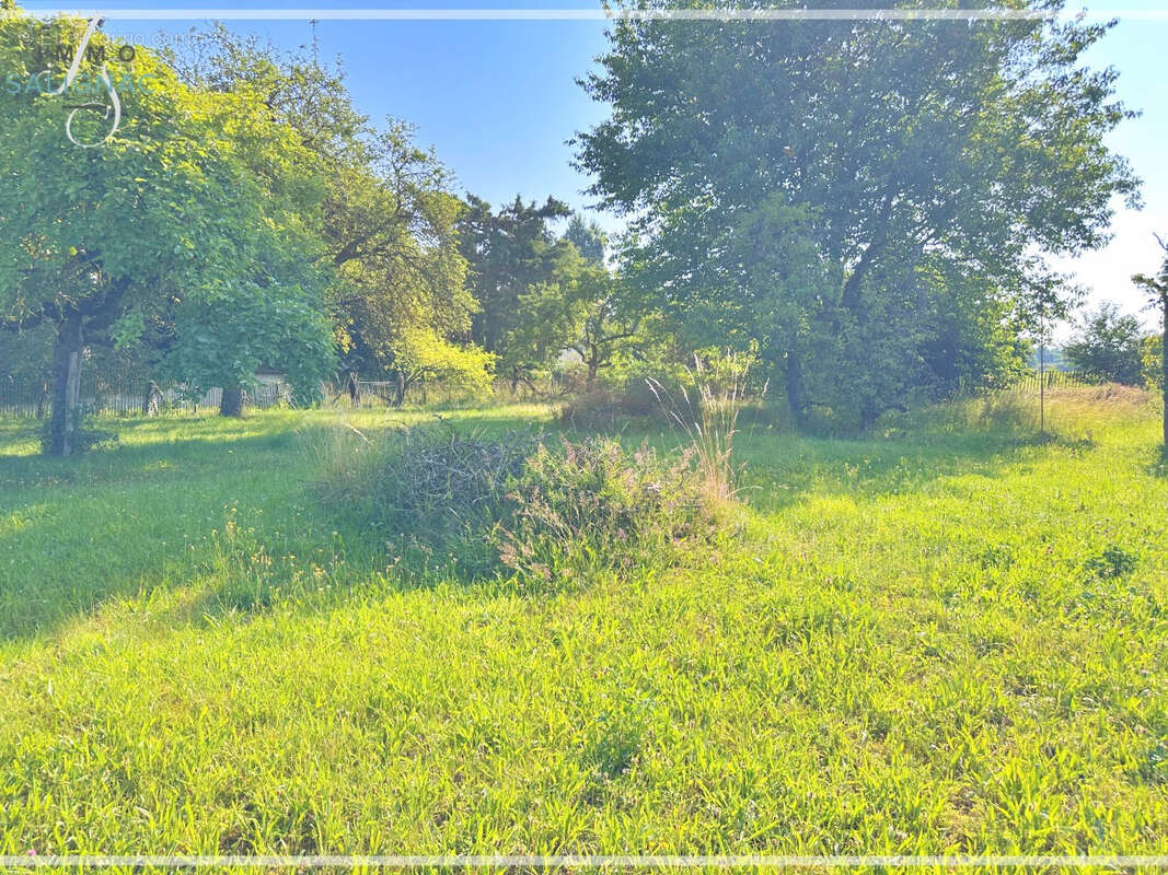 Terrain à SAINT-DENIS-LES-BOURG