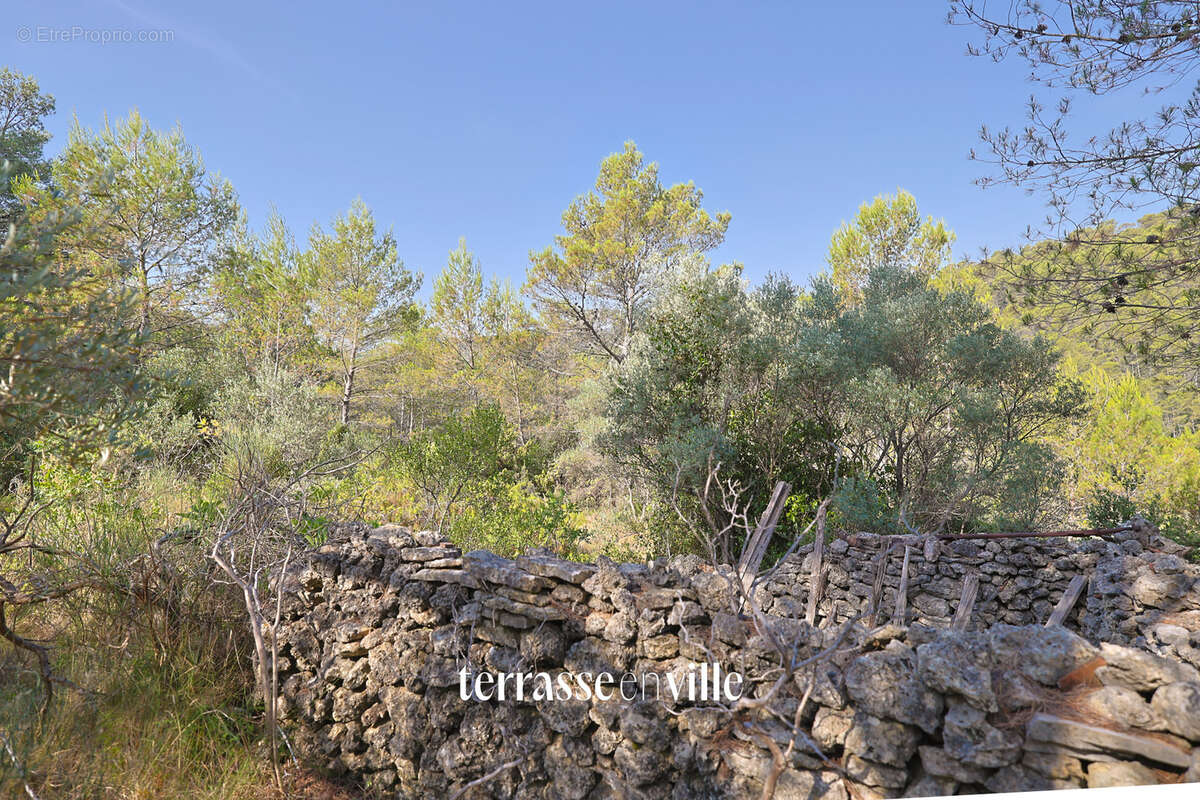 Terrain à CUERS