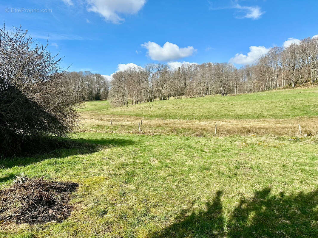 Maison à BEULOTTE-SAINT-LAURENT