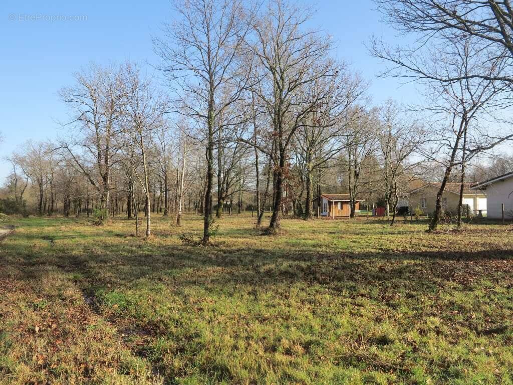 Terrain à SAINT-VIVIEN-DE-MEDOC