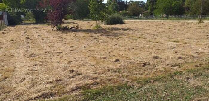Terrain 2770 m² à Saint-Vivien-De-Medoc  - photo 4