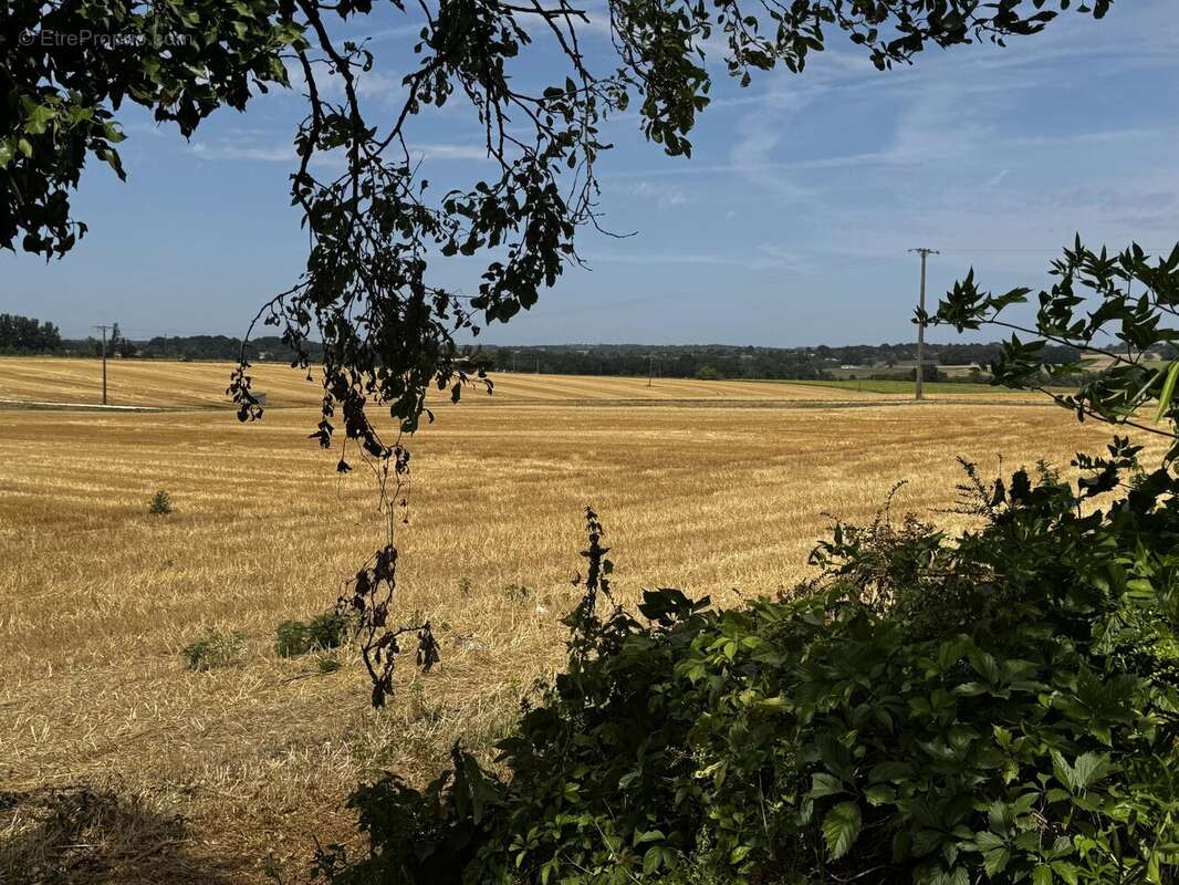 Maison de caractère de 3/4 chambres avec vue sur la campagne et potentiel de revenus - photo 16