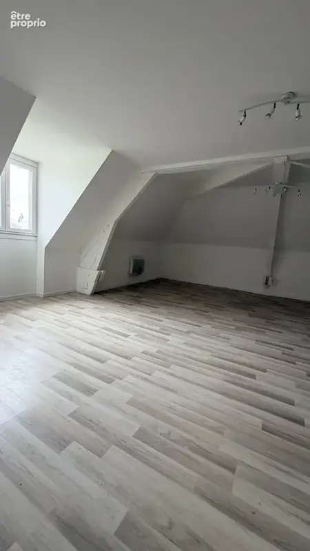 Achat St Lye proche Troyes maison 307m2  une dépendance 100 m2 jardin arboré 4135 m2 - photo 8