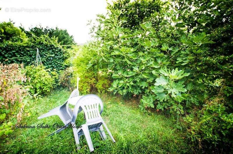 Maison à QUINCIE-EN-BEAUJOLAIS