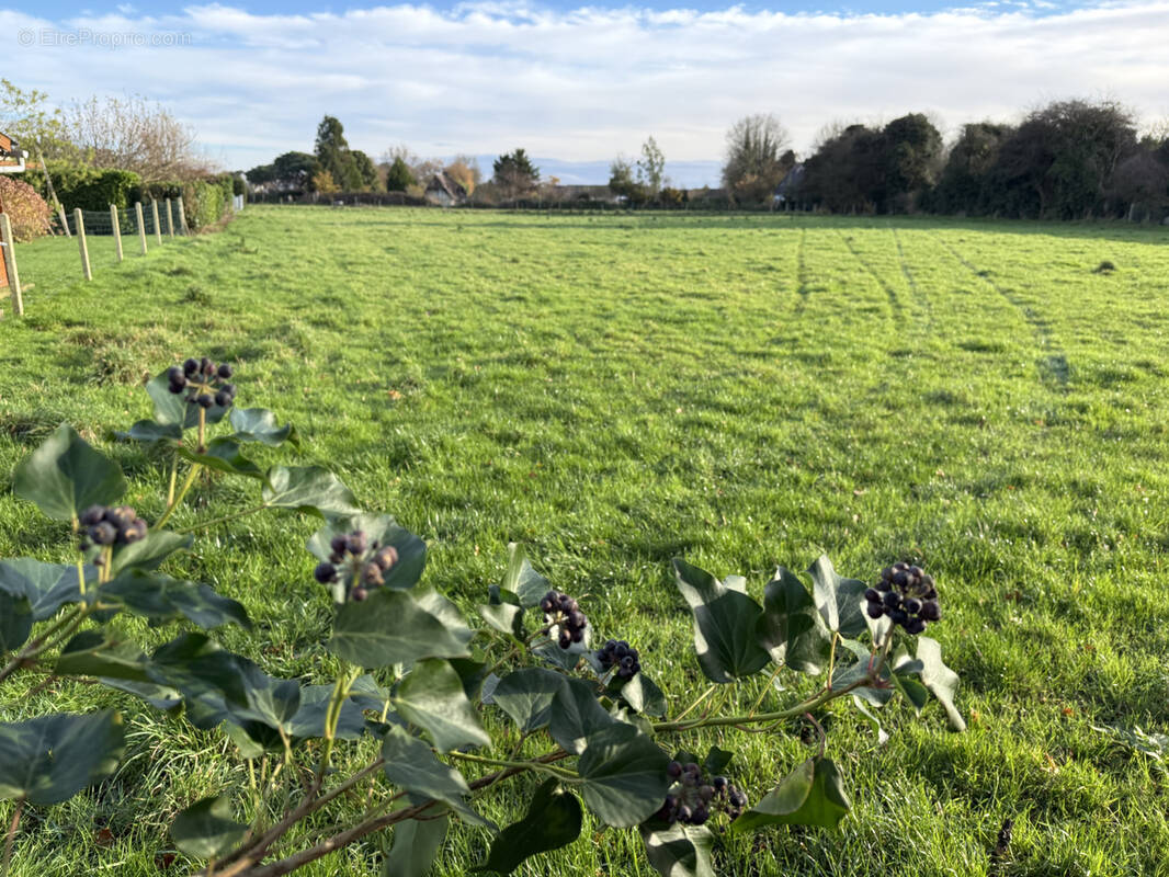 Terrain à GUEUTTEVILLE-LES-GRES