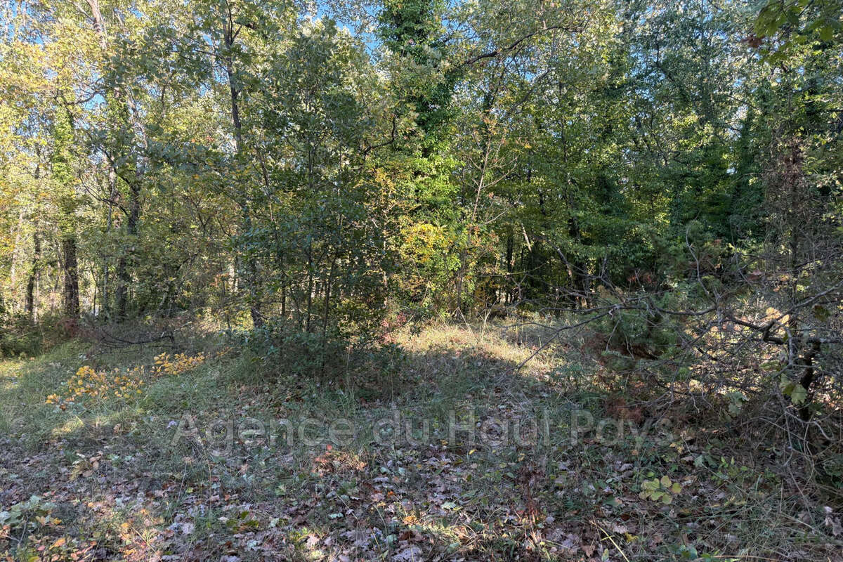 Terrain à SAINT-CEZAIRE-SUR-SIAGNE