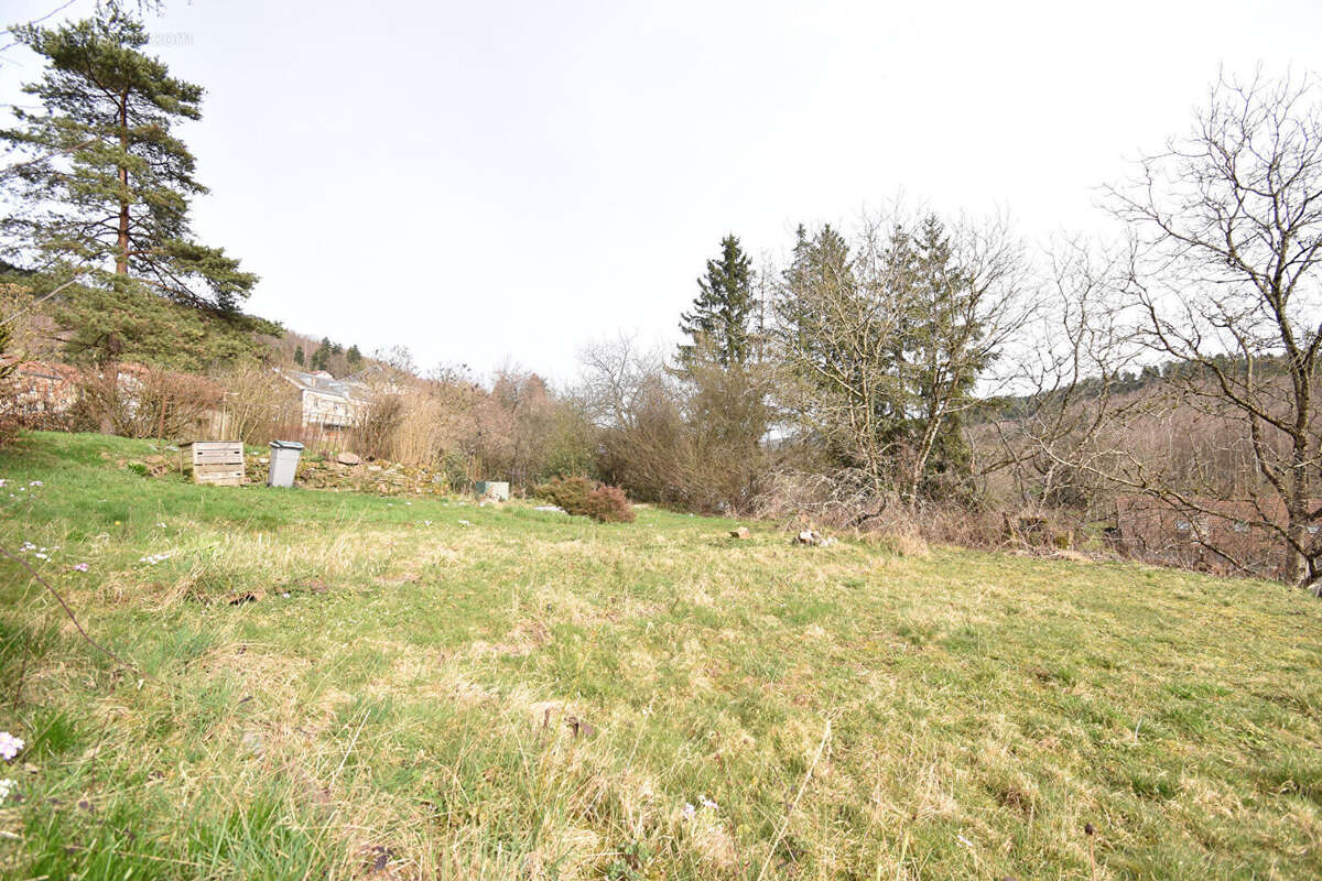 Appartement à MOYENMOUTIER
