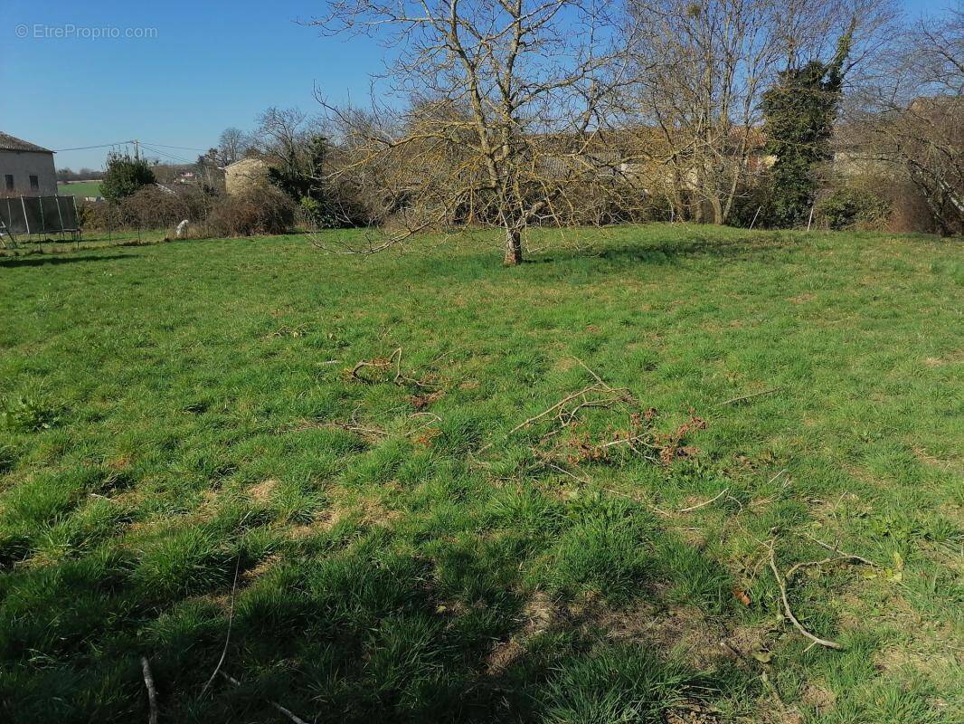 Terrain à FARGES-LES-MACON
