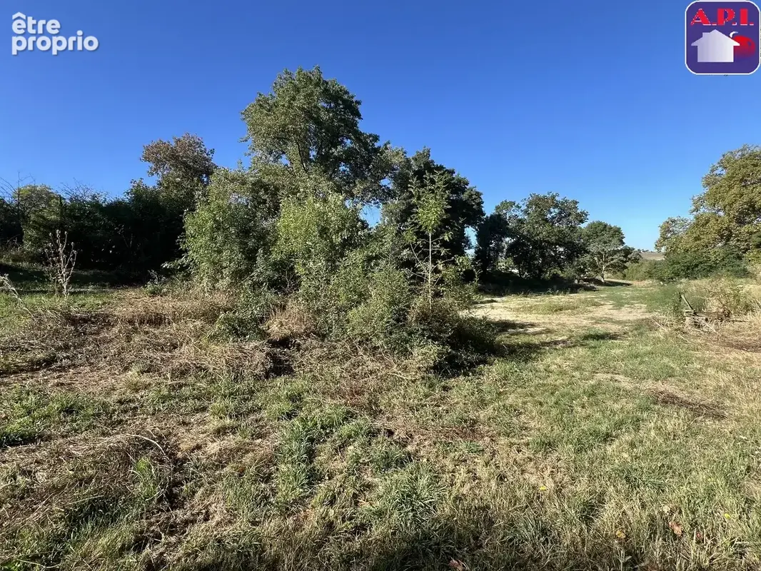 Terrain 4 484 m² à vendre à Nailloux (31560) - photo 4
