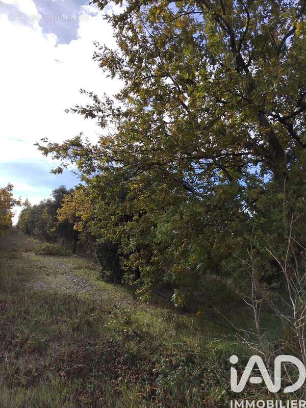 Photo 4 - Terrain à CAIRANNE