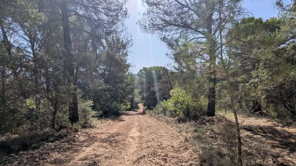 BRUNET - Terrain non constructible 14.570m² - photo 5