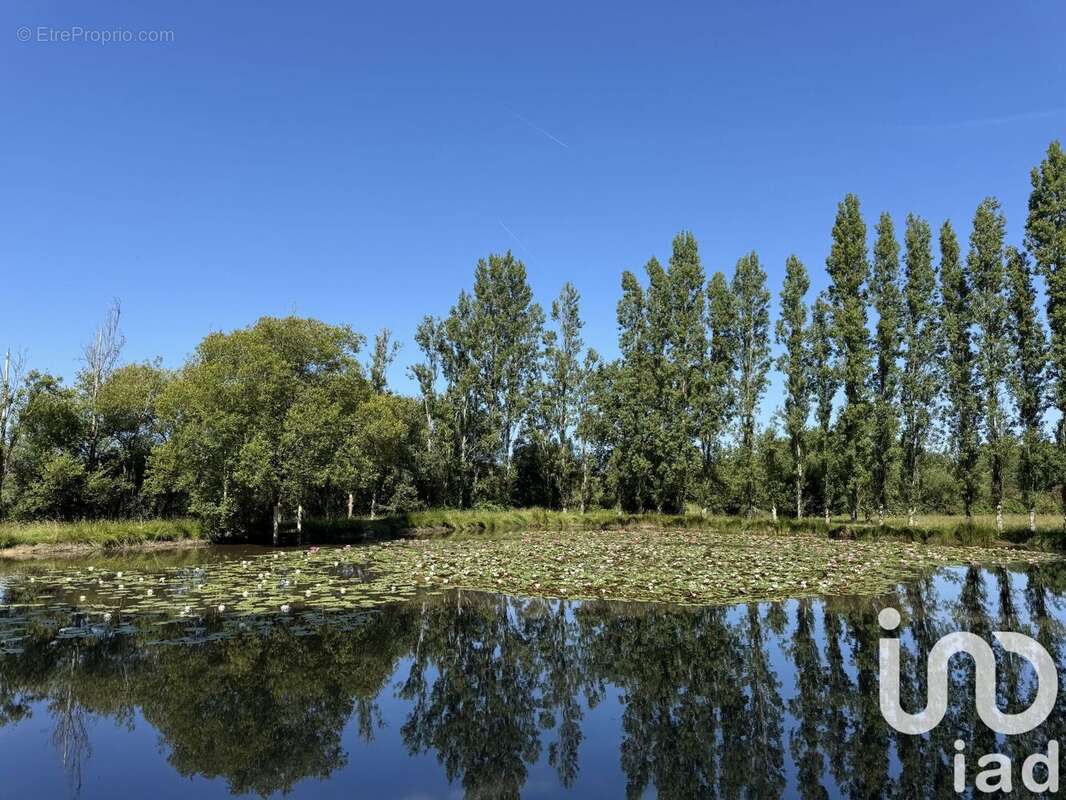 Photo 7 - Maison à CROSSAC