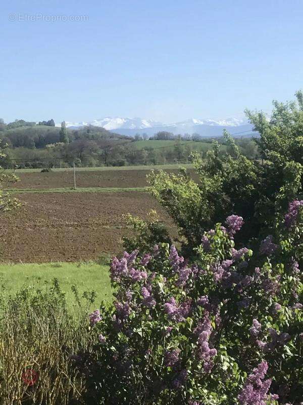 Maison à LEZAT-SUR-LEZE