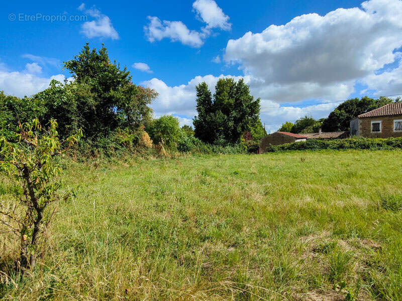 Terrain à SAUZE-VAUSSAIS