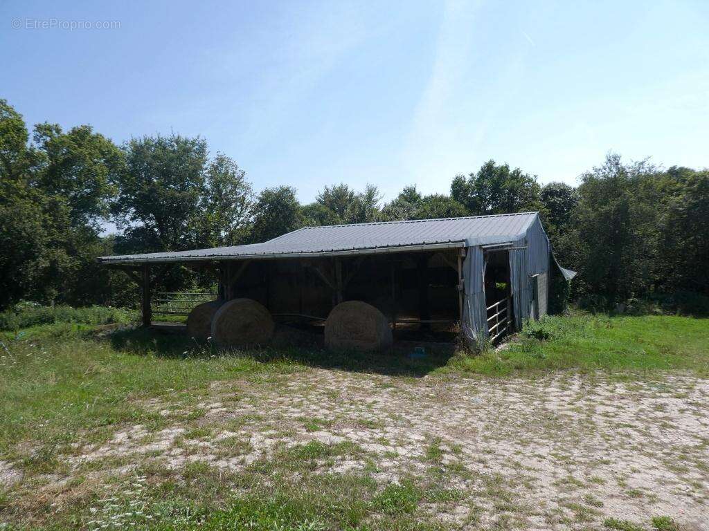Exploitation agricole - photo 25
