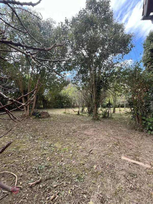 Terrain à L&#039;ISLE-EN-DODON