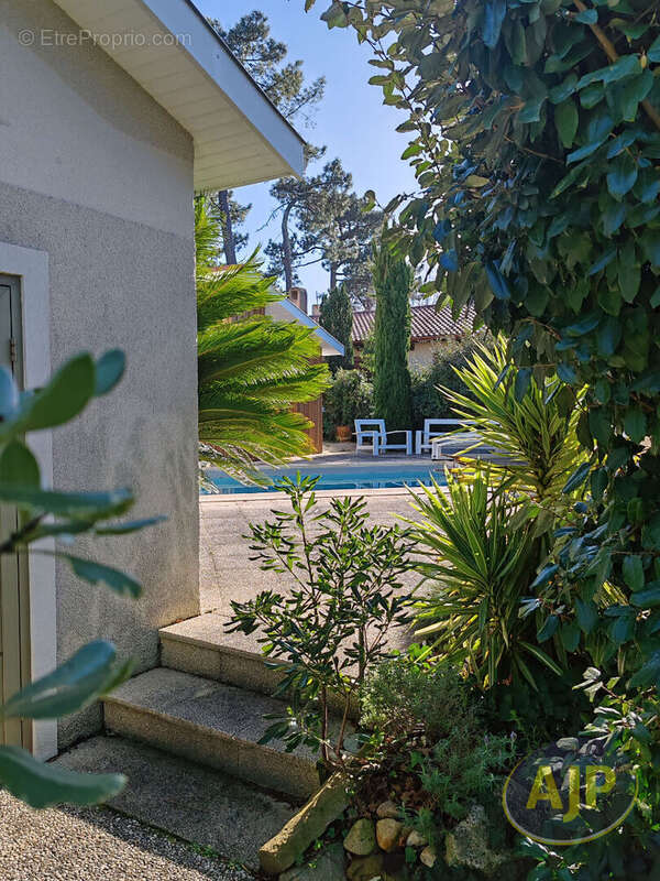 Villa Arcachon Abatilles - photo 14