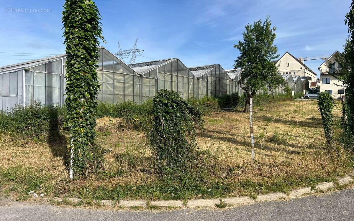Terrain à OLLAINVILLE