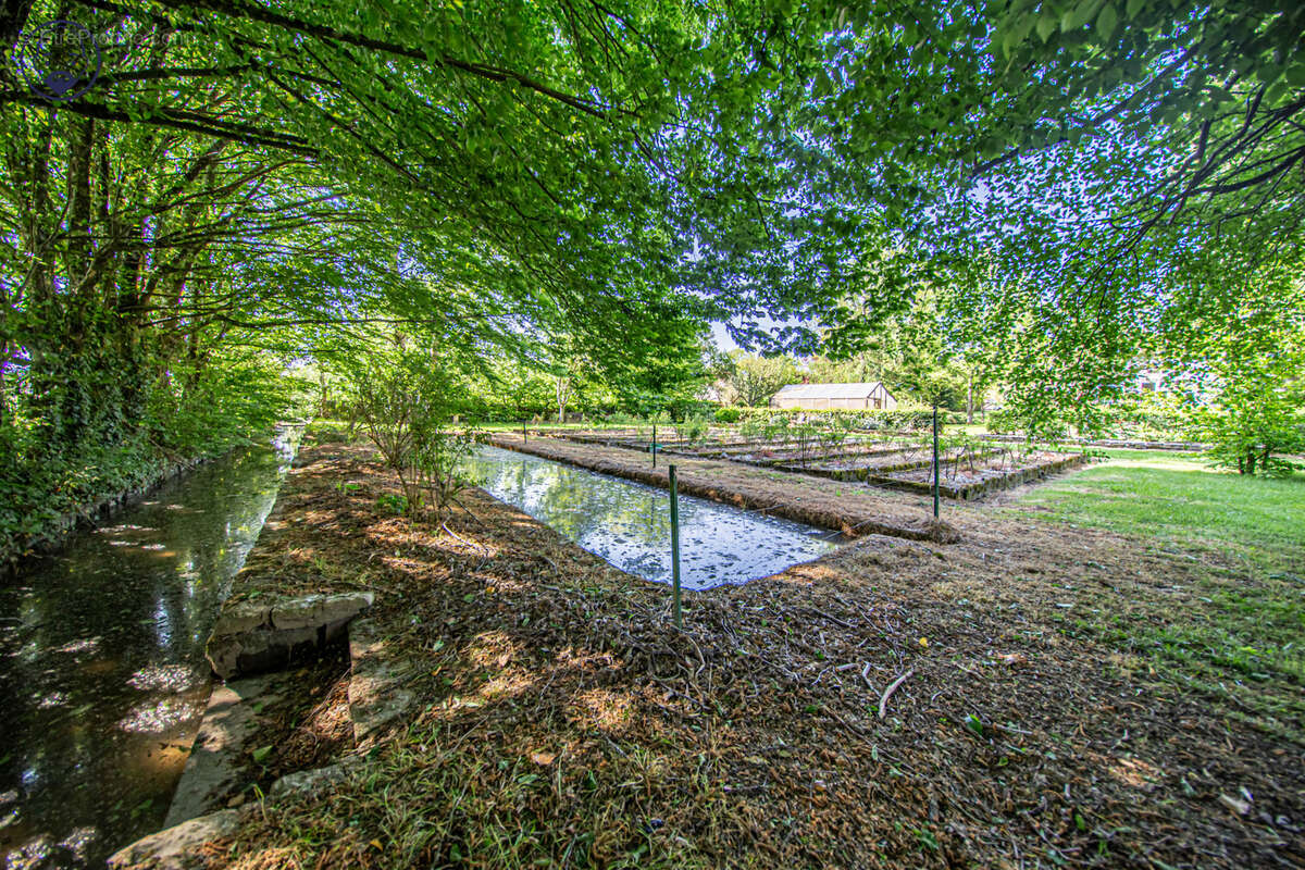 Maison de caractère 314 m2 et grand parc arboré - photo 5