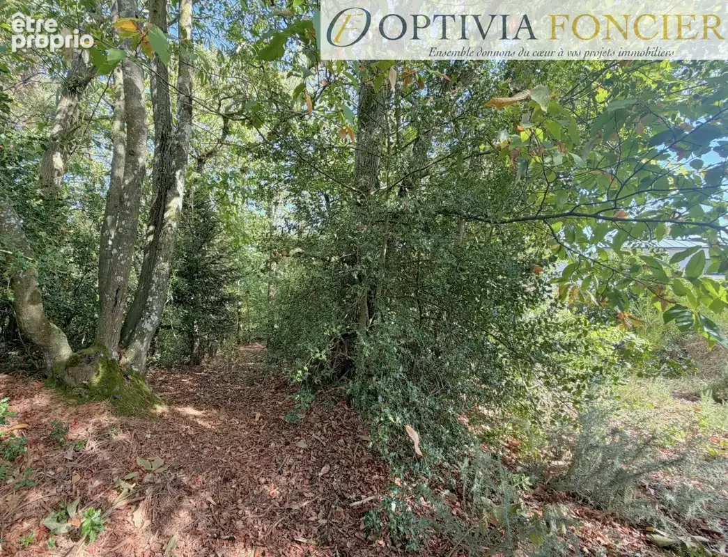 Terrain constructible d'environ 900 m2 sur Pont-Réan hors zone inondable - photo 7