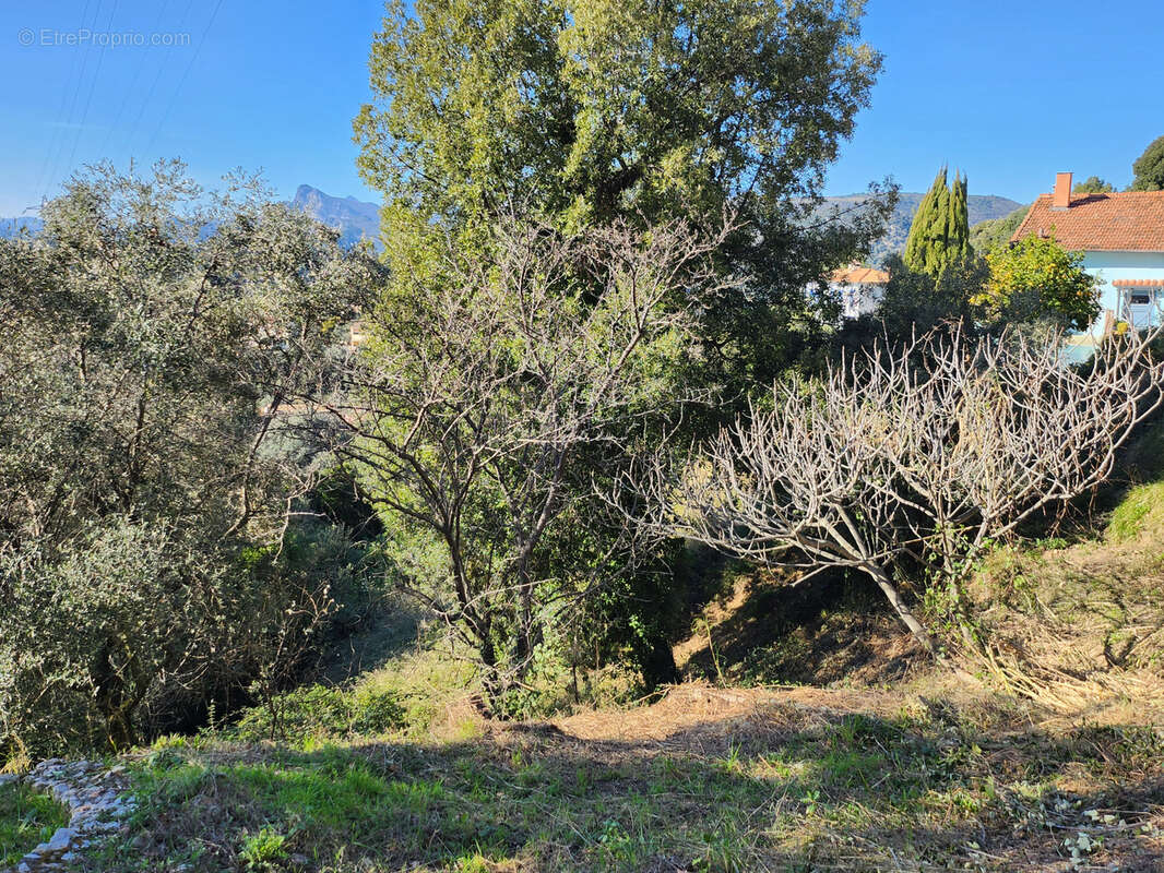 Terrain à SAINT-BLAISE