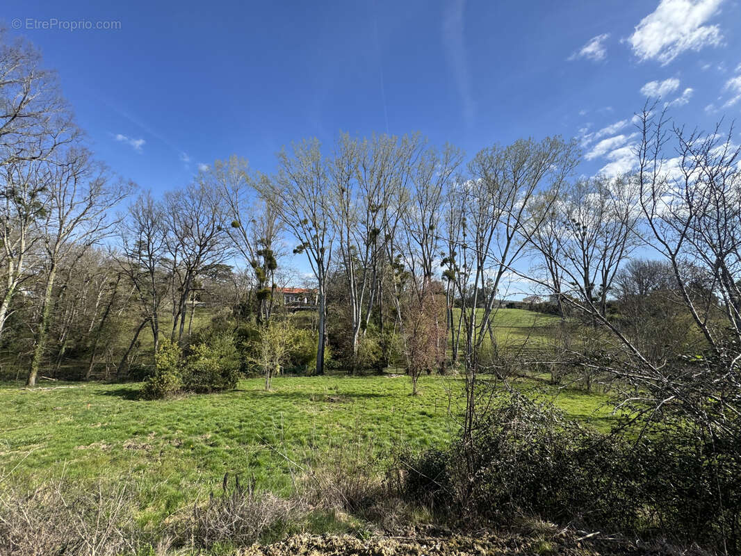Splendide terrain à bâtir de 1550 m2 dans un  cadre naturel unique. - photo 3