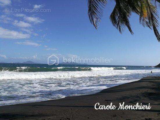 Terrain à VIEUX-FORT