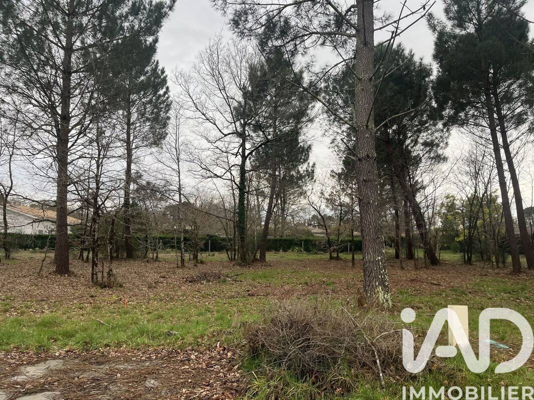 Photo 1 - Terrain à GUJAN-MESTRAS