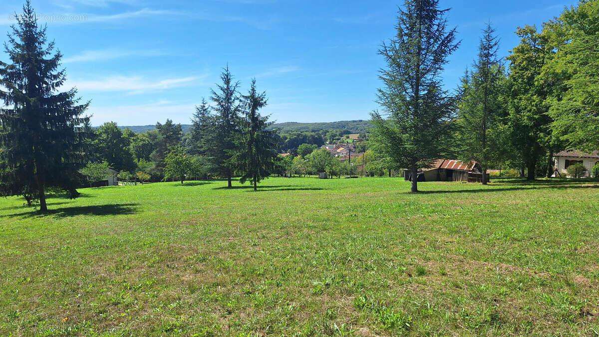 20250917_141037 - Terrain à SAINT-PARDOUX-LA-RIVIERE